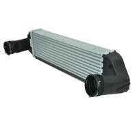 Carica Aria Refrigerante Intercooler Per BMW X3 E83 Xdrive 18d 20d 30d