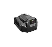 Caricabatterie EGO POWER CH2100E