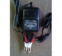 CARICA BATTERIE AUTOMATICO AL PIOMBO 2V / 6V / 12V