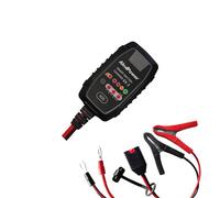 Caricabatterie Switching Automatico 6V 12V 2,5A batterie AGM WET MF GEL LiFePO4