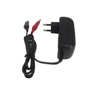 Caricabatteria 12V Alimentatore Caricatore con Morsetti per Batteria Universale