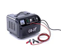 Caricabatteria 12V e 24V 60~200Ah