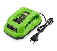 Caricabatteria al Litio da 40 V per GreenWorks 29482 G-MAX Batteria Agli di Litio da 40 V 29472 29482 29652 Spina Europea G40825