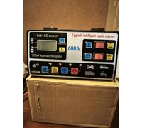 Caricabatteria Auto 12V/24V 220W Automatico Rapido Alta Potenza Riparazione