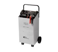 Caricabatteria auto/camion "TradeCharge55" RING 12/24V