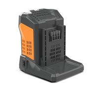 CARICABATTERIA CARICATORE RAPIDO ALIMENTATORE BATTERIA 5,5Ah 60V VALGARDEN