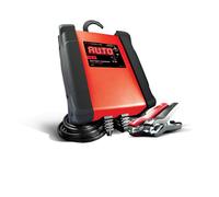 Caricabatteria e mantenitore automatico SPI15 - 12V 15A