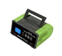 Caricabatteria For Auto 12V 24V Caricabatteria Intelligente Ad Alta Potenza Da 400W Trickle Smart Pulse Repair Car Truck Boat Moto(Green)
