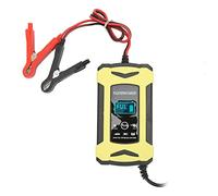 Caricabatteria, mantenitore batteria Facile da usare Stabile per batteria VRLA da 4-100 AH (Spina UE)