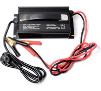CARICABATTERIA PER BATTERIE LIFEPO4 LITIO FERRO FOSFATO PILA CARICATORE CHARGER
