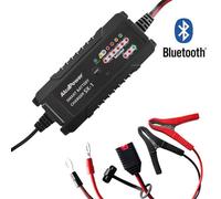CARICABATTERIA SWITCHING 6A 6V/12V PER BATTERIE DA 1,2AH A 120AH LIFEPO4 SX-1-ALC702907 ALCAPOWER