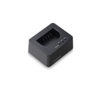 Caricabatterie USB-C Panasonic BLK22