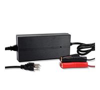 Caricabatterie agli ioni di litio da 20 A