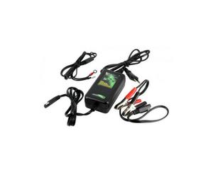 Caricabatterie al litio SKYRICH 12V 2AH hbc-lf0201