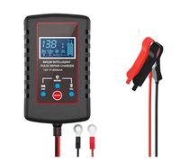 Caricabatterie, Caricabatterie intelligente for auto con interruttore a 6 V e 12 V con protezioni multiple, caricabatteria automatico a galleggiante