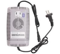 Caricabatterie Con Cavo Di Ricarica 3 Poli CC48 48V 2,5 A Tipo 3 Per E-Scooter