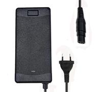 Caricabatterie da 53,6 V per Xiaomi MI4 Pro Plus Max/per Segway ZT3 PRO E-Bike Roller Accessori Parte È adatto per batterie da 48 V.