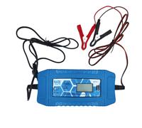 Caricabatterie elettronico 1 ~ 6A, 220 Ah