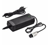 Caricabatterie F10mobility per alimentatore per scooter elettrico Smartgyro X5 Raptor