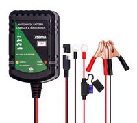 Caricabatterie intelligente automatico da 750mA a 12 volt e mantenitore di