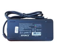 Caricabatterie Intelligente Da 4 Amp Per Scooter Elettrico Gotrax G4