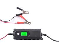 Caricabatterie Mantenitore Di Batteria Caricabatterie Moto Barca Batteria Auto