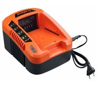 Caricabatterie Ningbo NGP EC20 40V
