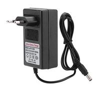 Caricabatterie per Batterie Agli Ioni di Litio da 2 A con Indicatore LED, Adattatore di Alimentazione CC 12,6 V per Lampada Frontale, Macchinina e Altro, Ampio Ingresso di (Spina
