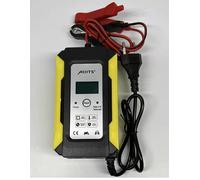 Caricabatterie per batterie al piombo 10A 12Volt AOITS DISPLAY CON PINZE IT-1022