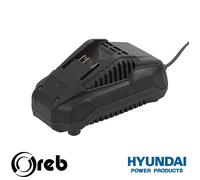 Caricabatterie singolo rapido originale Hyundai 25030 20V Max - 2A