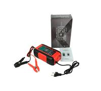 Caricabatterie Smart 12V 24V Auto Blei-Acido AGM GEL