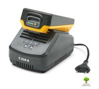 Alpina Caricabatteria standard per batterie Alpina agli ioni di litio da 20 V, Corrente di Carica 2 Ah, Alloggiamento di Carica per una Batteria, Velocità di Ricarica standard, Spina Europlug