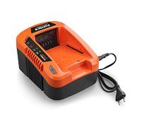 Caricabatterie ultrarapido EC50 FUXTEC 40V (5A) - tecnologia agli ioni di litio - per la batteria da 40V 2/4/6Ah di FUXTEC - "una batteria per tutti i dispositivi a 40V" - (batteria non inclusa!)