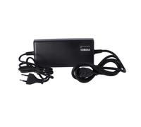 Caricabatterie Yamaha 500 Intube 36V dal 2019