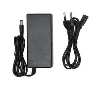 Caricatore 42 V Adattatore di Alimentazione Universale per Batteria Al Litio a 36 V, Caricabatterie 2A in Rapida Ricarica con Controllo del Chip Intelligente, Uso Esterno (Plug)