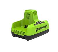 Caricatore 80 V Dual Slot 8 A (deve essere avviato)