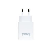 Caricatore a muro IGGUAL 1xUSB 5V/2.4A (12W) universale bianco