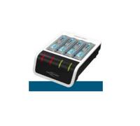 Caricatore Ansmann AA con 4 Pile NiMH 2100 mAh Incluse