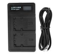 Caricatore della Batteria della Fotocamera NP -FV100 con Display LCD, Caricamento a Doppio Slot, con Cavo USB