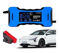 Caricatore di tensione a doppia tensione Protezione della carica intelligente Caricabatteria da auto Automotive Manutenzione Telefono multipurpose Caricabatterie Inverno Caricabatterie digitale