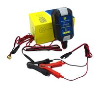 CARICATORE E MANTENITORE DI CARICA BATTERIE AL PIOMBO ACIDO AGM GEL LITIO