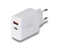 Caricatore GaN 65W USB Tipo A e C - LINDY - Caricatore - GaN - USB Tipo C - USB Tipo A