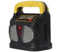 Caricatore Intelligente Batteria Auto Moto 12v 24v 15a 240w