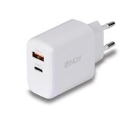 Lindy alimentatore gan usb tipo a c, 65w