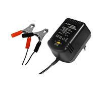 Caricatore per batterie al Piombo 2V 6V 12V DC 600mA CON PINZE