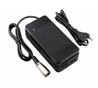 Caricatore per Bicicletta Elettrica Giant Vall-E+3 Power 2A F10mobility