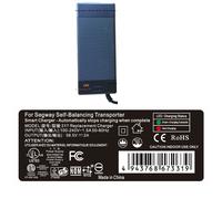 Caricatore Per Segway Ninebot S E S Max Monopattino Elettrico Autobilanciante