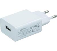 Caricatore USB - Caricatore con uscita 2A e 5V, ideale per dispositivi elettronici, compatto ed efficiente uso domestico.