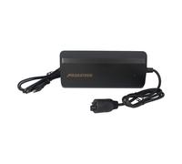 Caricatore Veloce 36V 6A Per Batterie Bosch Active & Performance