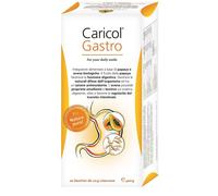 Caricol gastro 20 bustine da 20 g